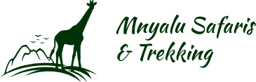Mnyalu Safaris